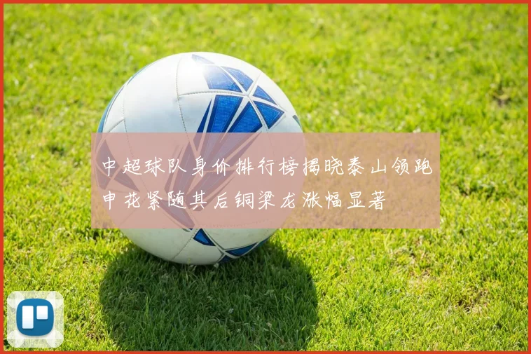 中超球队身价排行榜揭晓泰山领跑申花紧随其后铜梁龙涨幅显著